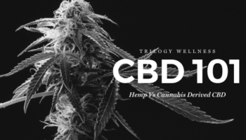 CBD 101 image 0