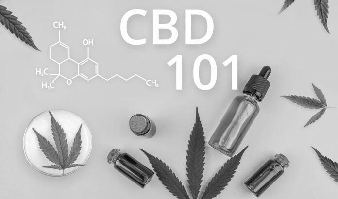 CBD 101 image 2