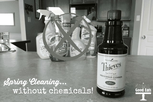 Spring Clean Without the Chemicals photo 0